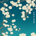 风中乱舞 - 梨花颂