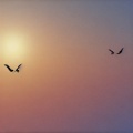 DJ - Good Vibe (DJ版)