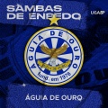 Liga Carnaval SP、Paulinho Mocidade - O Pão Nosso de cada dia nos dai hoje