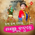 Dilip Panda - Cham Cham Tora Payal Bajuche