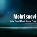 Buba Corelli、Teena Flow - Mokri snovi (Explicit)
