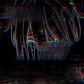 狼夏 - 梦之旅