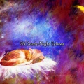 Rain for Deep Sleep - Precious Monsoon