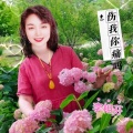 李相芬 - 伤我你痛吗
