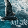 小哦 - 知我