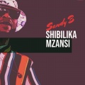 Sandy B - Shibilika Mzansi