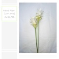 A23LAB. - ardor