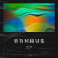 柴有利 - 放纵