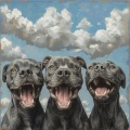 Calming for Dogs、Music For Dogs、Relaxing Music for Dogs - The Name of Life