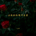 卡迪哥 - 送你的玫瑰不是爱
