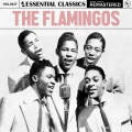 the flamingos - Love Walked In