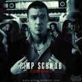 Pimp Schwab - One Night Stand
