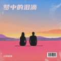 江舟夜雨 - 梦中的泪滴