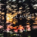 林紫云 - 风吹过 秋叶落