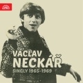 Václav Neckář - Stín katedrál
