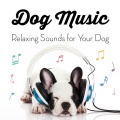 Sleepy Dogs - A Dog Music Experience