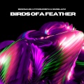 Besomage、Hypermorph、Snoblack - Birds Of A Feather