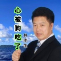林佳生 - 心被狗吃了