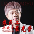 梁晓宇 - 农民工最光荣 (Remix)(DJRN版)