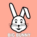 Big Bunny - Astonishing