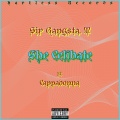 Sir Gangsta. T、Terrence Mcgruder、Cappadonna - She Celibate