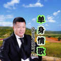 林佳生 - 单身情歌 男女合唱