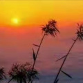 吕林 - 双亲