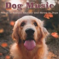 Pet Music Therapy、Dog Music Dreams、Relaxmydog - Quiet Night