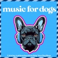 Dog Music Zone、Relaxmydog - Sleepy Synth