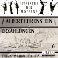Friedrich Frieden、Albert Ehrenstein - Kapitel 3