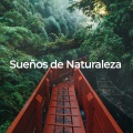 Fabricantes De Lluvia、El Hacedor de Lluvia、Relajantes sonidos de lluvia - Riachuelo Calmante para el Alma