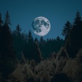 Poema Nocturno、Estética en reposo total、Caminante de reposo - La Serenidad De La Noche Para Las Melodías Suaves