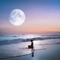 Paz estática、Ruido brillante para la meditación、Meditación Trascendental - Eco De Enfoque Tranquilo