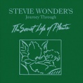 Stevie Wonder - The Secret Life Of Plants