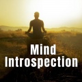 SPA、Evening Jazz Relaxation、Therapeutic Mind Theatre - Well-Ordered Precipitation