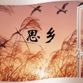 麦克伟诗 - 老家