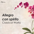 lisa beznosiuk、Paul Nicholson、Richard Tunnicliffe - II. Allegro