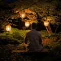 Heal Your Soul、Heal Your Spirit、Healing Therapy Music - Calming Music for Soul Peace
