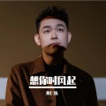 黄仁烁 - 想你时风起
