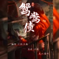 汐颜、一只老孑然 - 鸳鸯债