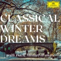 aloys kontarsky、alfons kontarsky - Brahms: 16 Waltzes, Op. 39: No. 1 in B Major