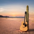 Lujoso Musica Relajante de Guitarra、Vida Sonidos Naturaleza、Canal Naturaleza sin parar - Armonía De Guitarras Suaves