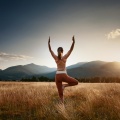 Zen tonal、Teoría del yoga、Sonidos de Cascadas - Camino Silencioso Hacia La Tranquilidad