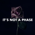 Yeah Yeah Yeahs - Pin