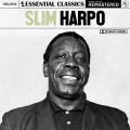 slim harpo - Dream Girl