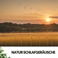 Ruido Blanco Hart、Sons De La Nature、Relaxing Guru - Mélodie des gouttes de pluie enchantées