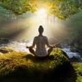 Generico、Meditar Principiantes、Terapia de Paz - El Movimiento Se Encuentra Con La Meditación