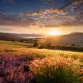 Lista de reproducción para relajarse temprano en la mañana、Meditación Perfecta、Meditación Relajante Mindfulness Relajación Maestro - Meditación Tonal Clara