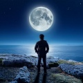 Vaca soñolienta、Musica Para Dormir y Sonidos de la Naturalezal、Descansa - Noche Suave Con Canciones Tranquilas