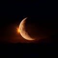 Especialistas en música oscura、Reposo en calma profunda、Biblioteca de reposo para criaturas - Acordes Profundos Para Dormir